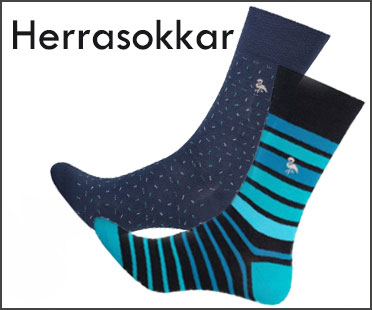 HerrasokkarABC1